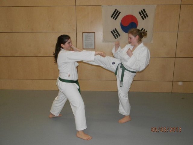 Taekwondo Training